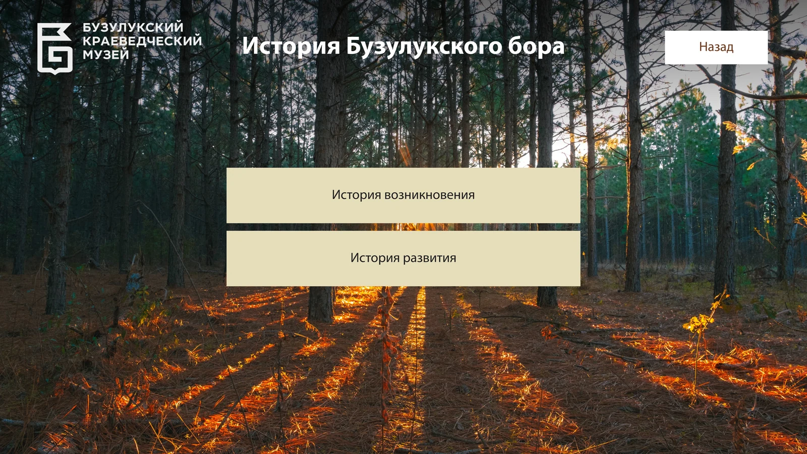 «История Бузулукского бора»: история возникновения и история развития