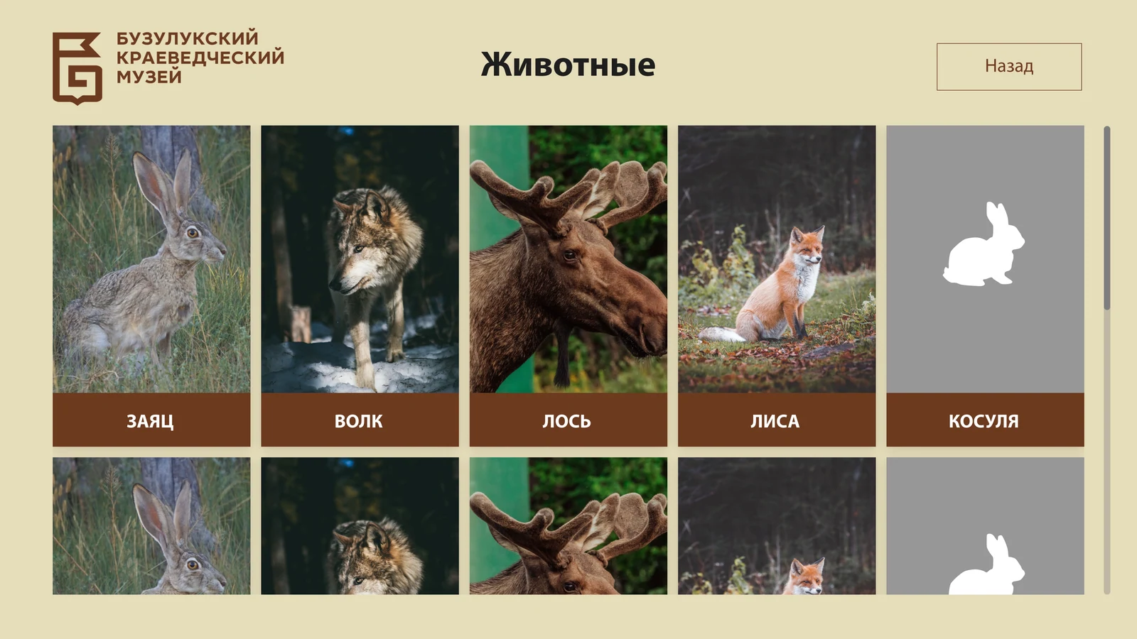 Раздел «Животные»: сетка карточек видов с подписями