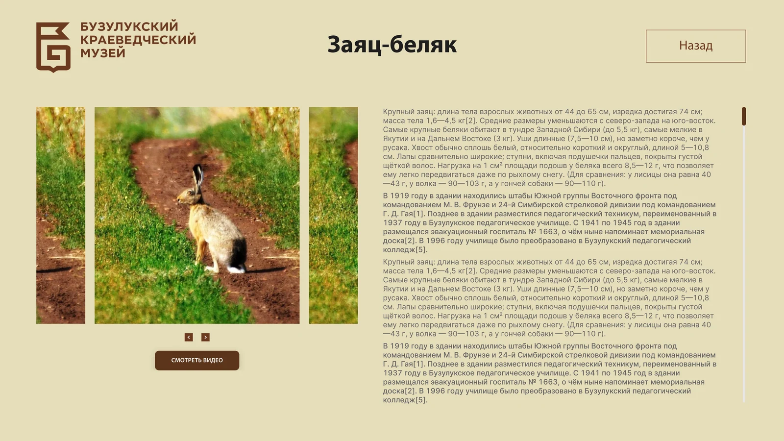 Карточка «Заяц-беляк»: фото, галерея, текст и кнопка «Смотреть видео»