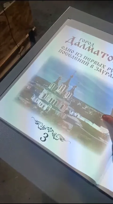 Далматово: проекционная книга