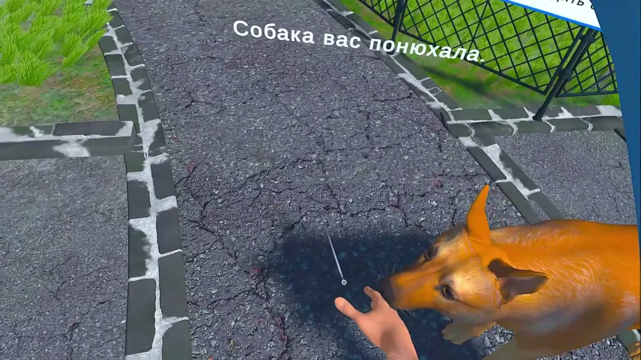 Знакомство с домашней собакой: рука тыльной стороной — собака обнюхала и разрешила себя погладить