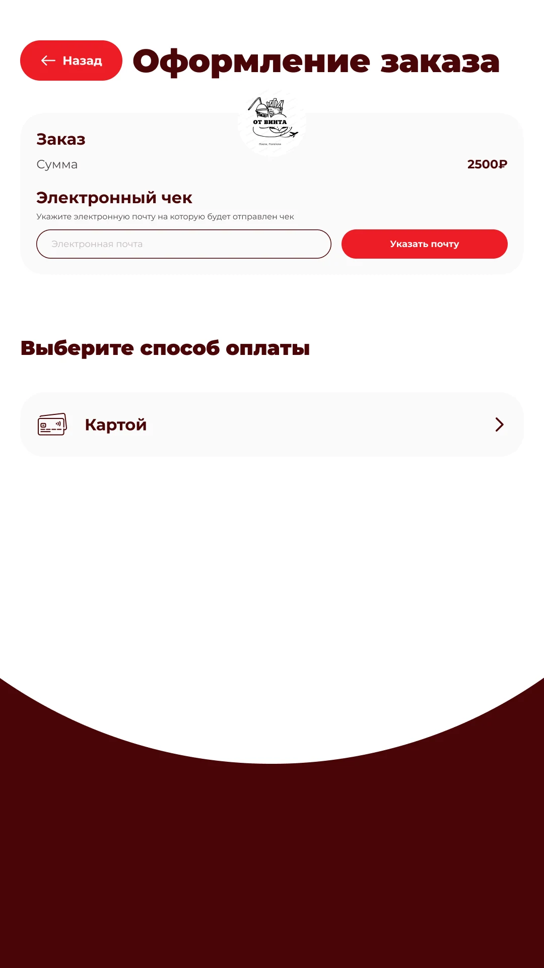 Оформление заказа: почта для электронного чека по желанию и способ оплаты