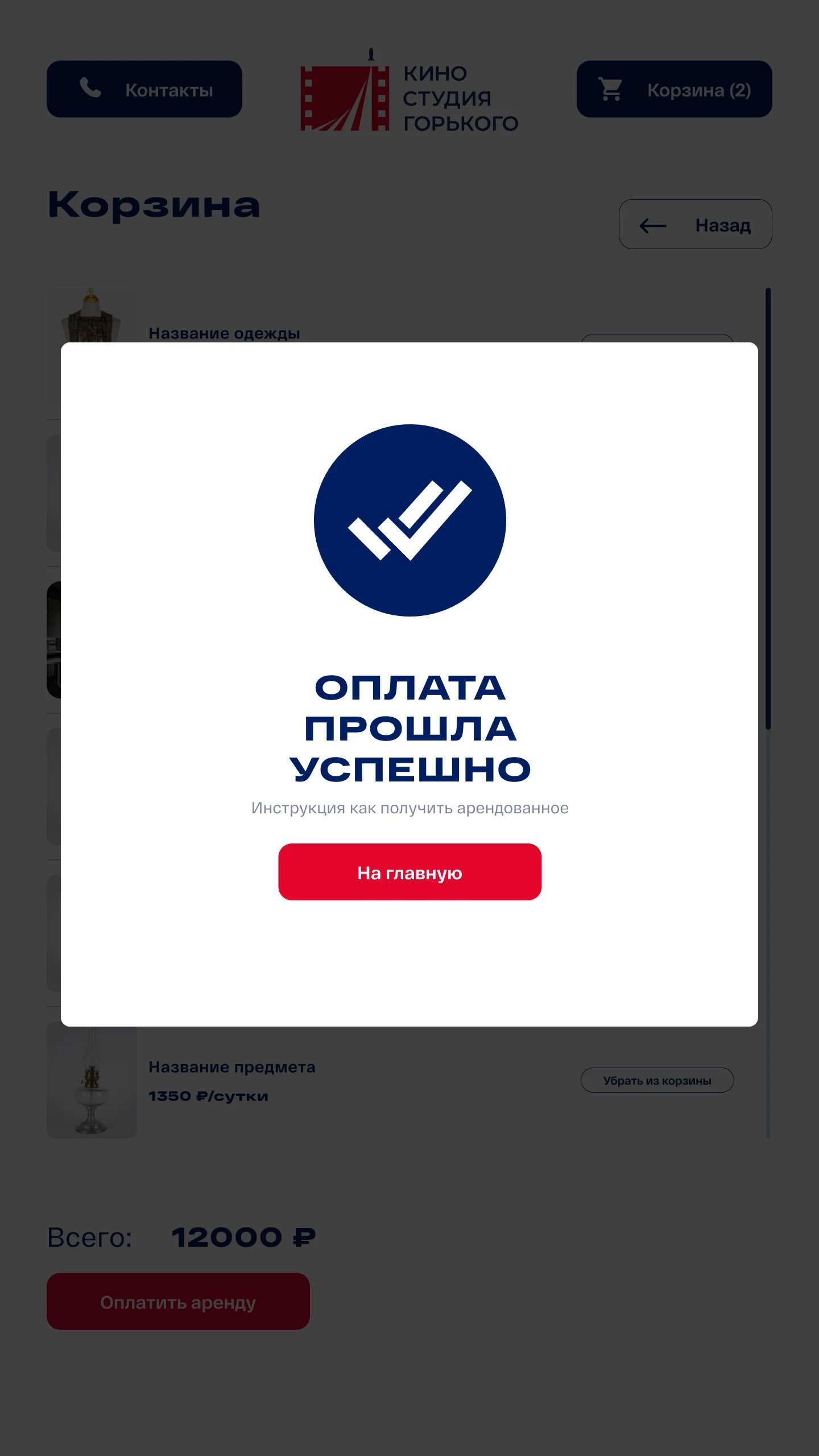 Оплата прошла успешно: инструкция, как получить арендованное