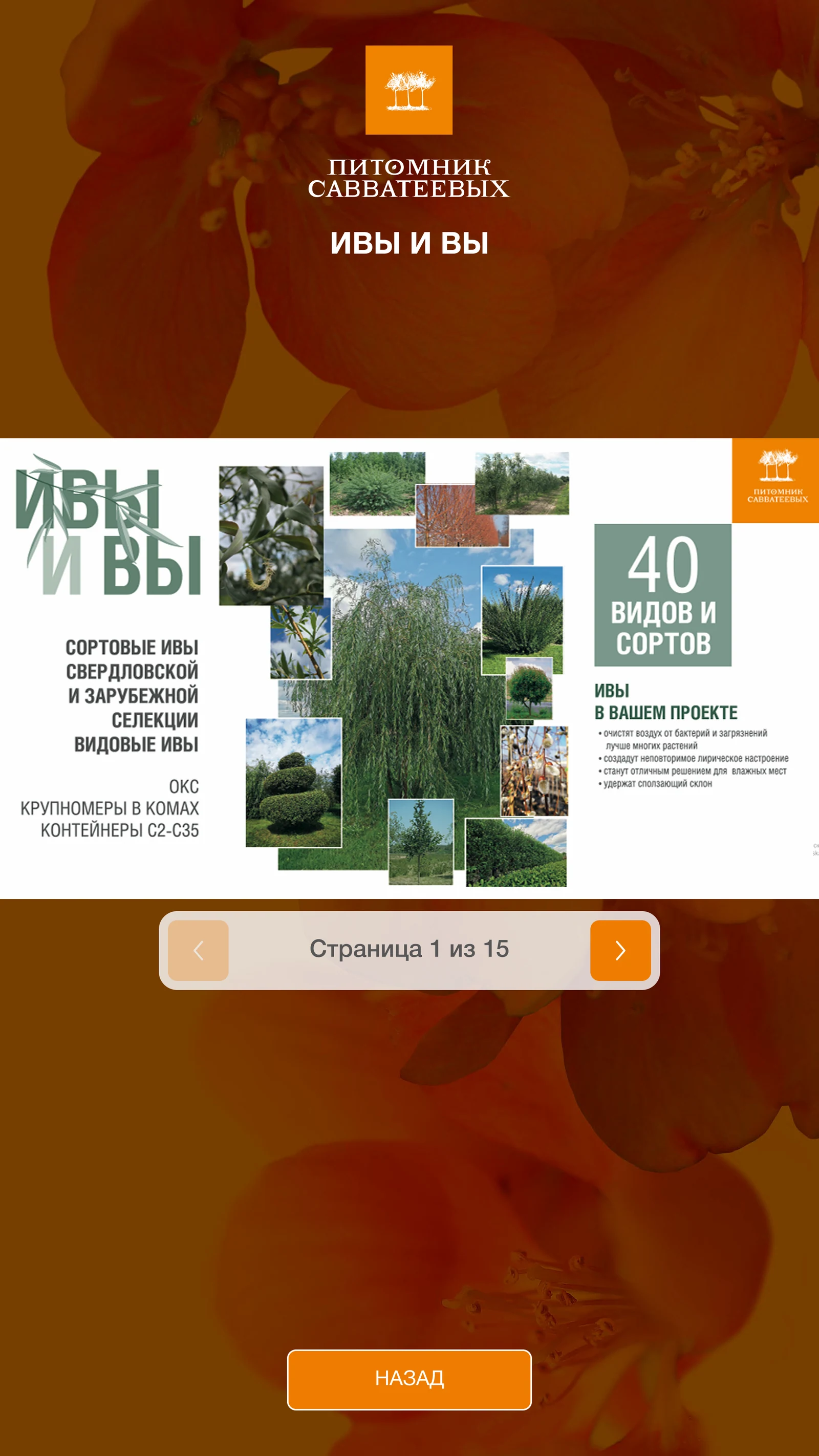 Каталог «Ивы и вы»: 40 видов и сортов ив