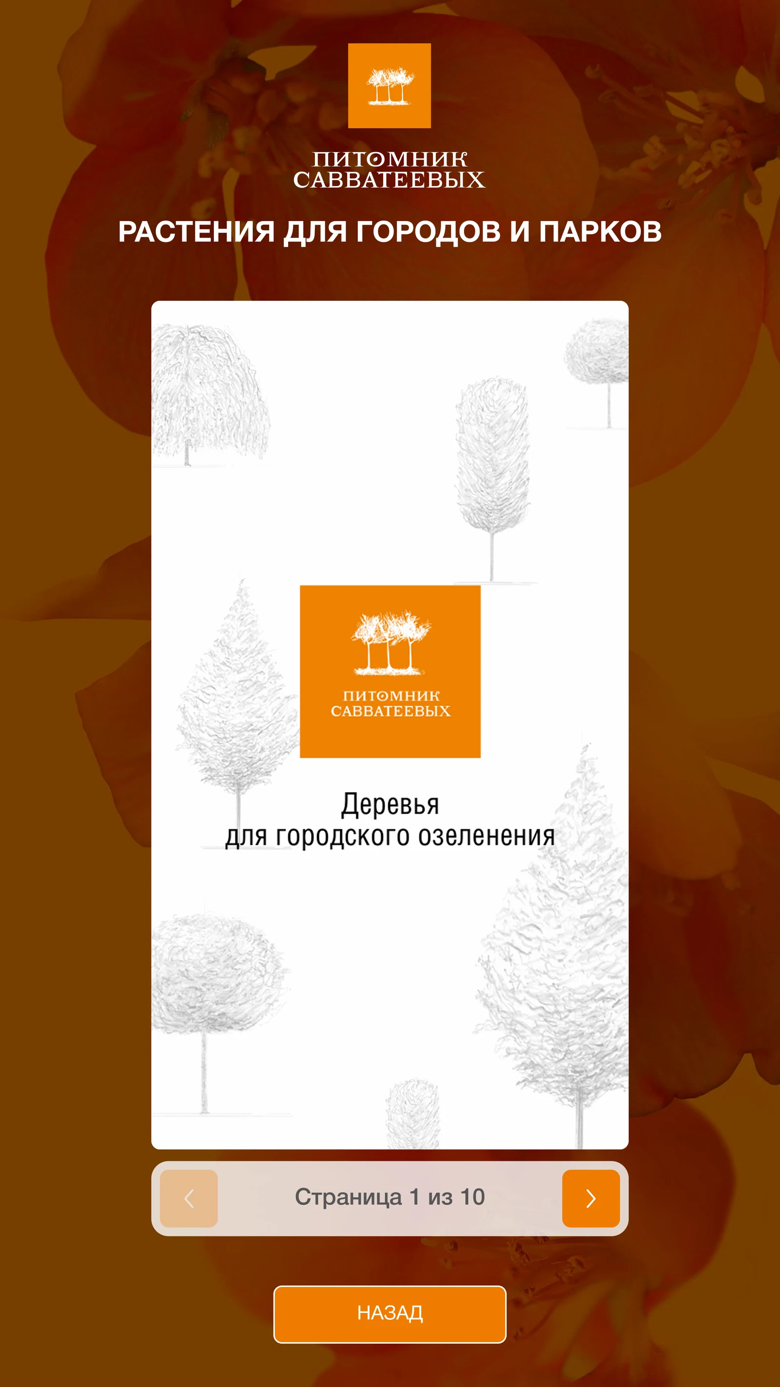Раздел «Растения для городов и парков»: деревья для городского озеленения