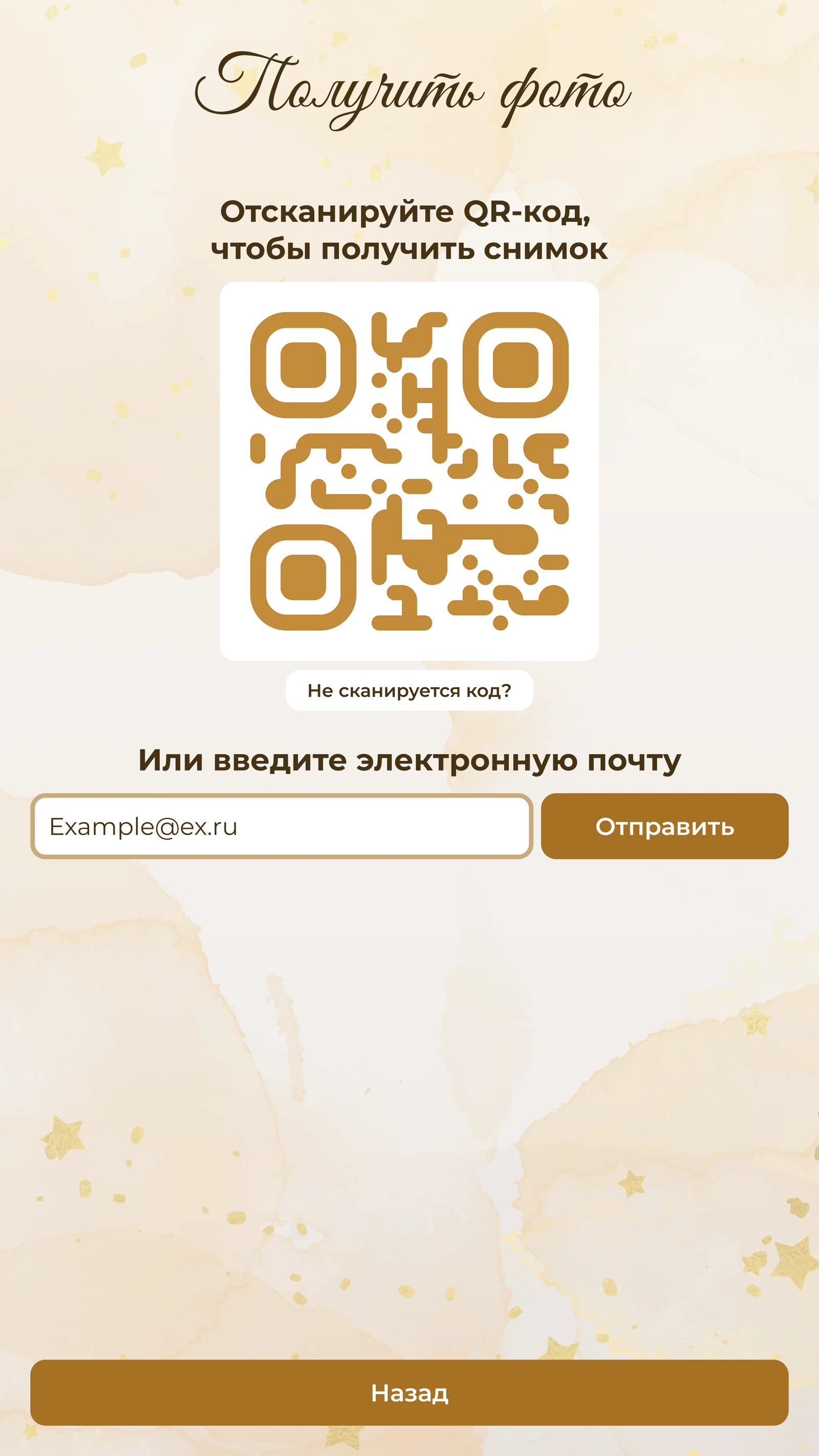 Экран выдачи снимка с введённым адресом почты