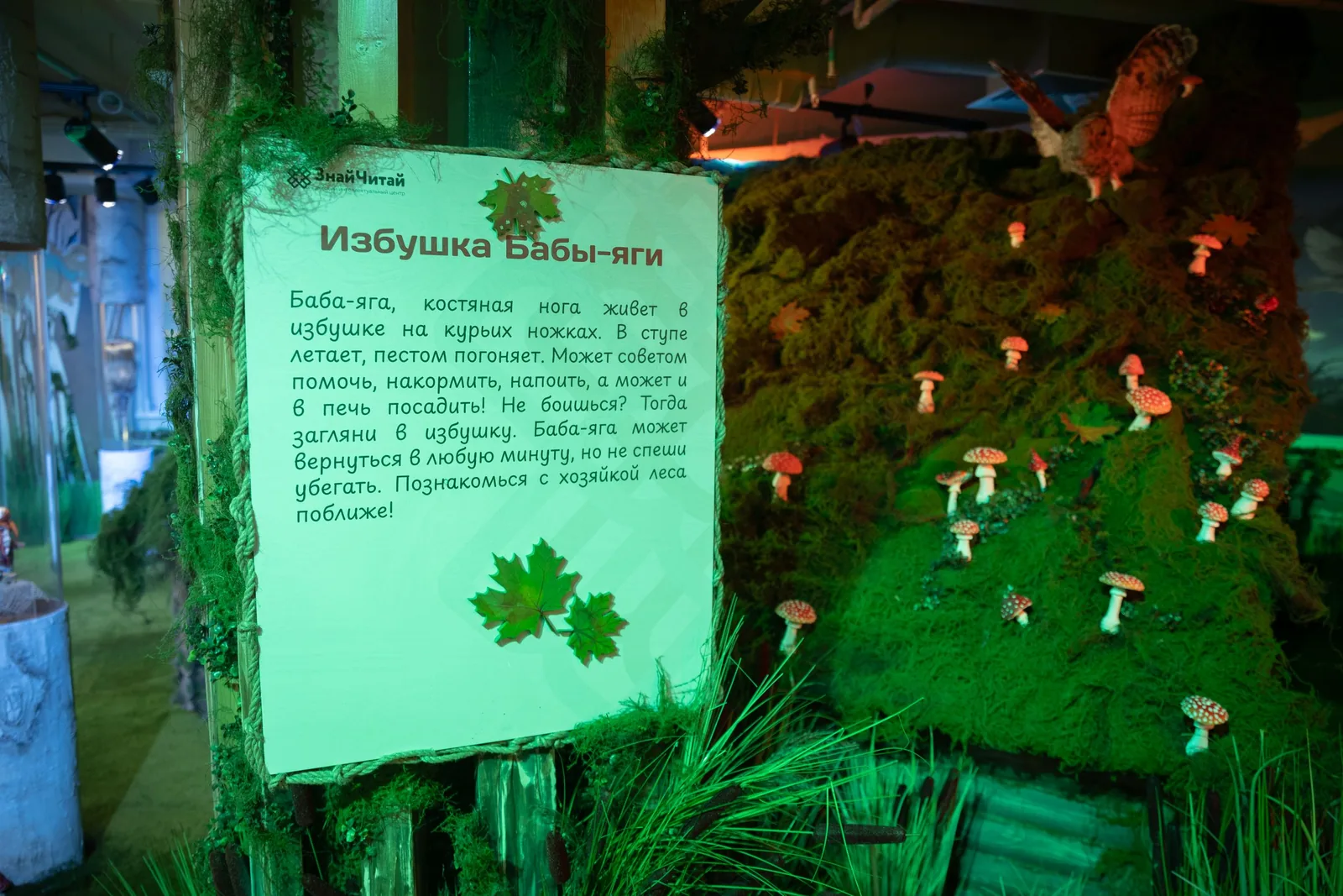 Избушка Бабы-Яги — РГДБ, Москва