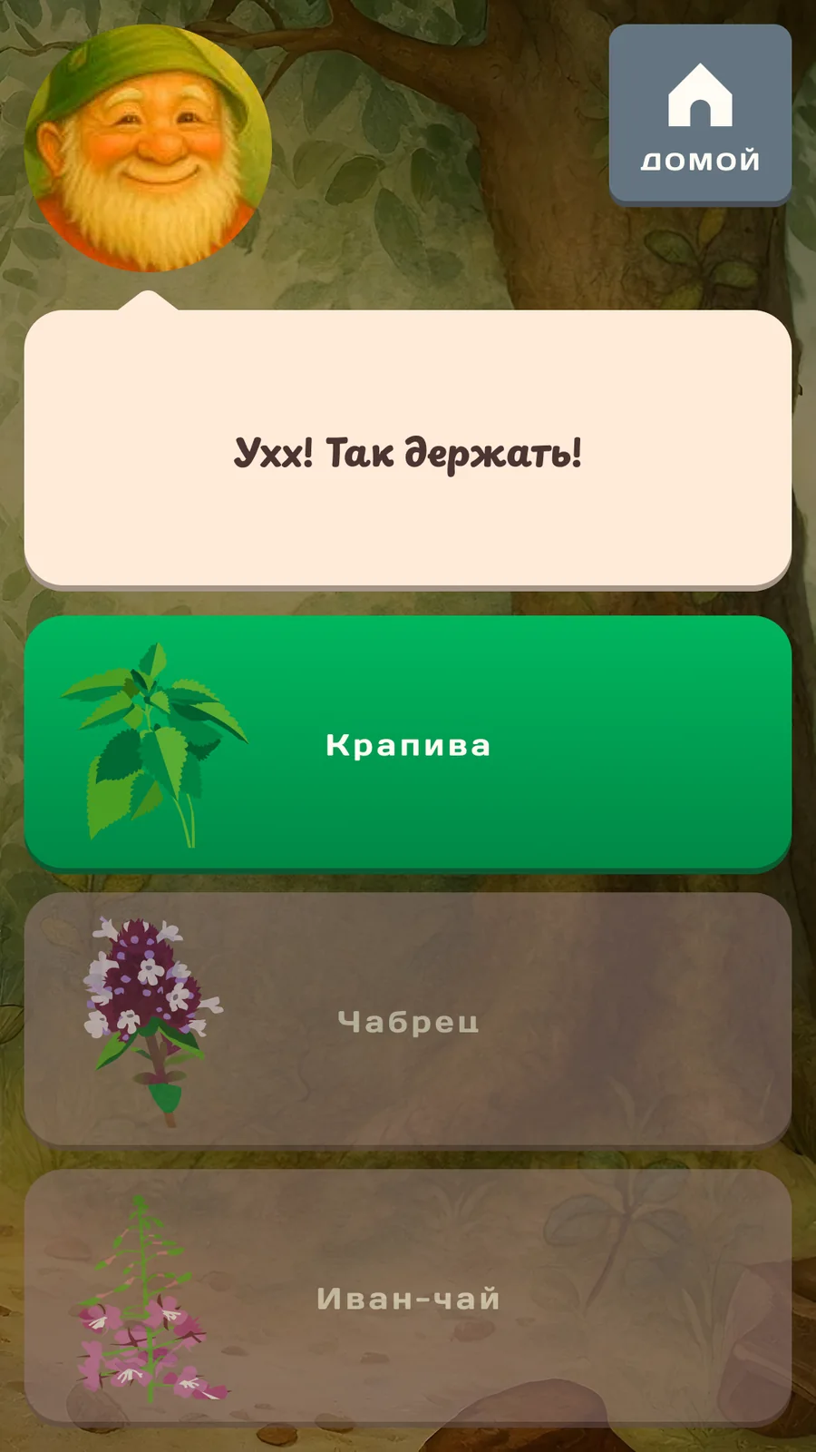 Лесовичок: Верный ответ подсвечен зелёным