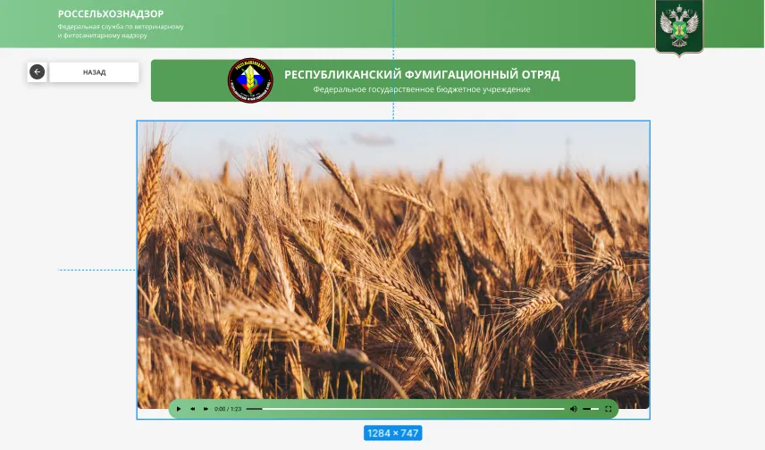 Россельхознадзор: информационный терминал ведомства — фотография проекта