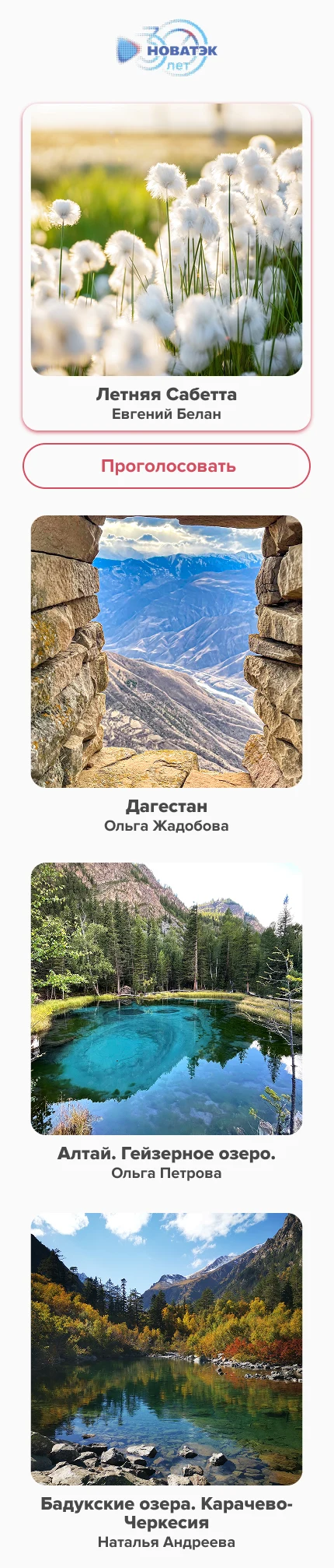 Голосование на телефоне: карточки работ с авторами