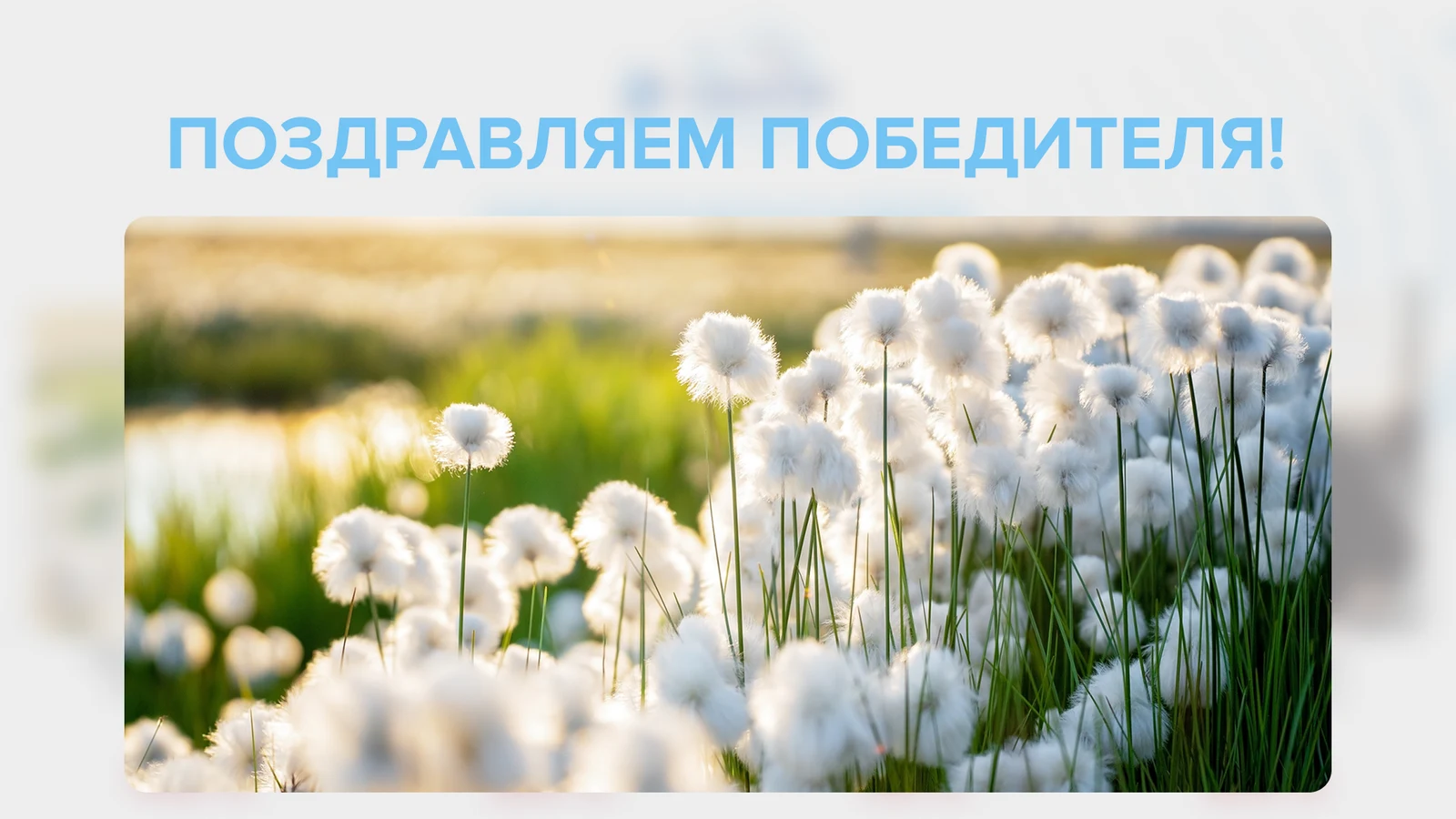 Экран победителя с поздравлением