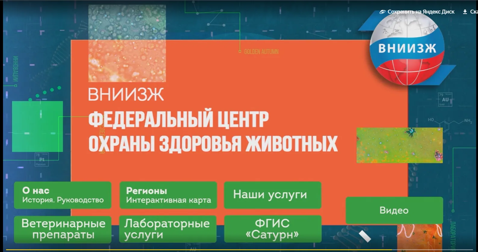 ВНИИЗЖ и ВГНКИ: терминалы и интерактивный стол