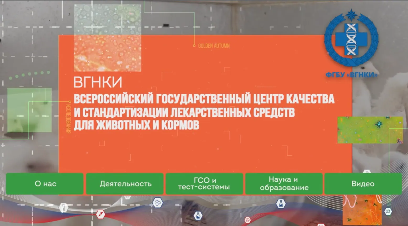 ВНИИЗЖ и ВГНКИ: терминалы и интерактивный стол — фотография проекта